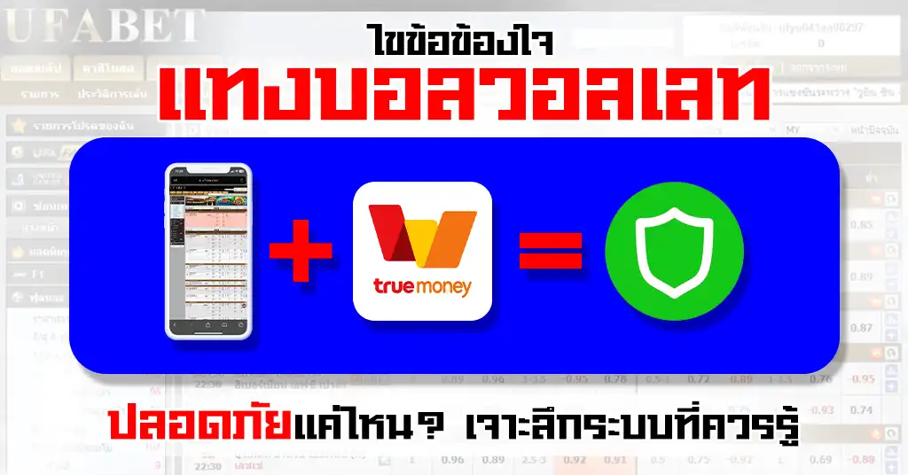 แทงบอลวอลเลท